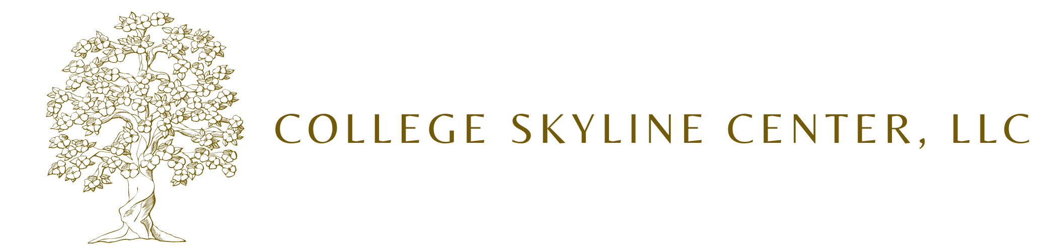 College Skyline Center LLC